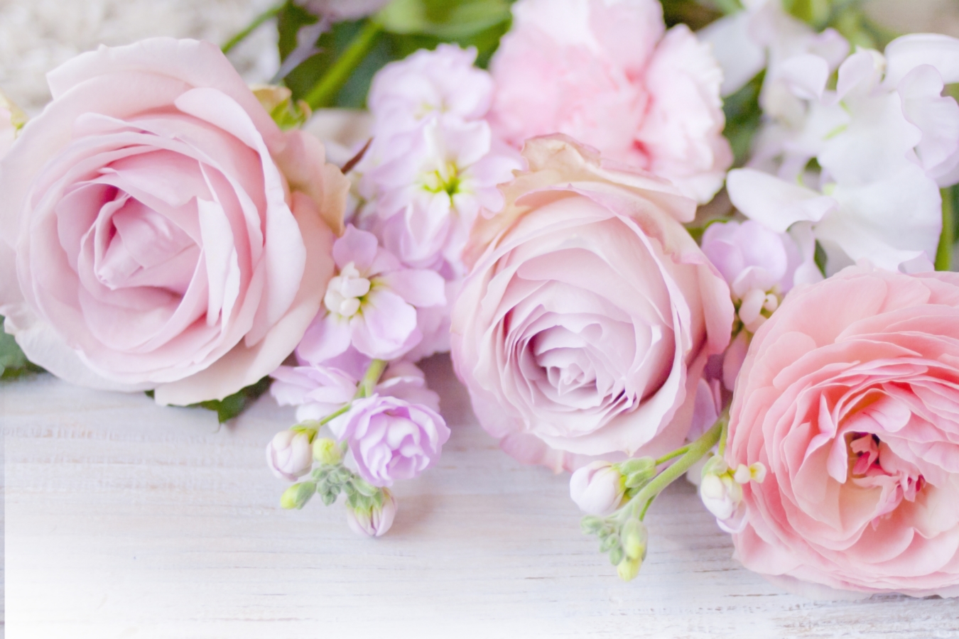 ラナンキュラスの花言葉 色 種類別の意味や由来 花束に人気の理由とは Hanasaku