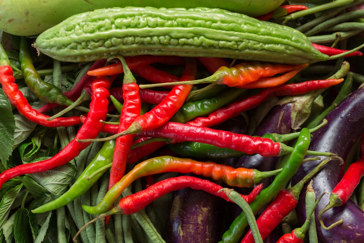 ゴーヤを栽培する前に【準備編】