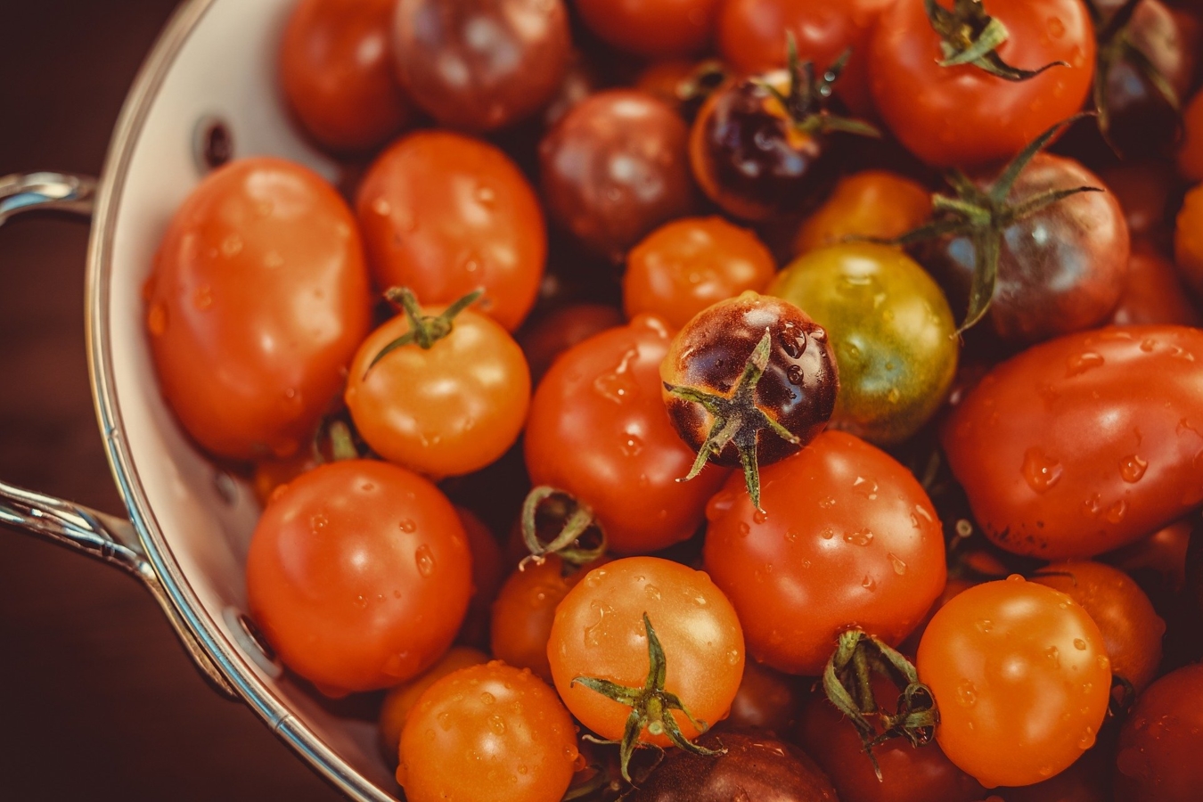 トマトの家庭菜園向け品種が知りたい おすすめ8種類と選び方 Hanasaku