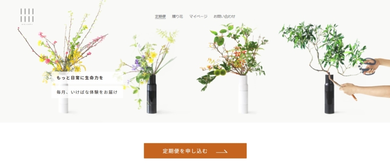 13.カキトカザイ