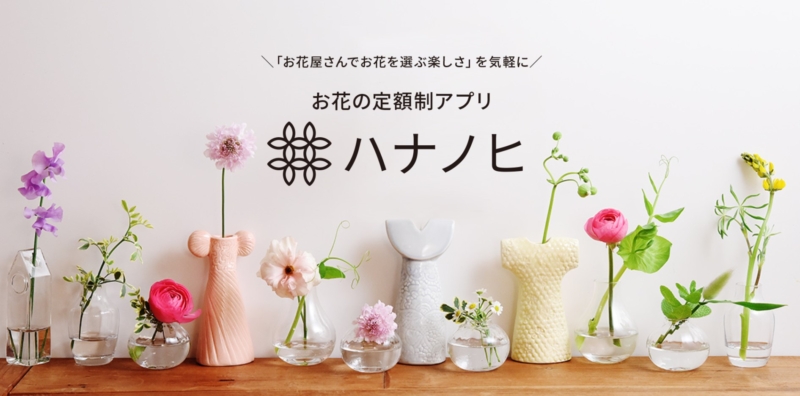 9.ハナノヒ by日比谷花壇