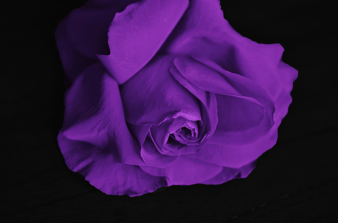 スタンド花で紫色を贈る意味とは 気品溢れる癒されギフト Hanasaku